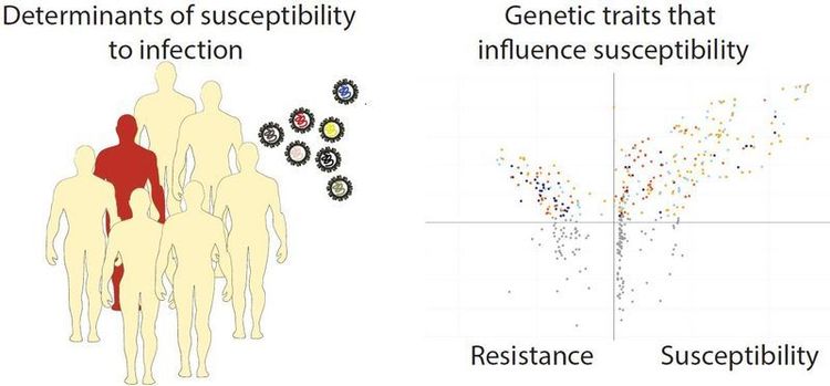 Host and viral factors that govern susceptibility to HCV and RSV